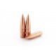 264 caliber, 110 grain Match Solid Lead-Free Bullets (50 count)